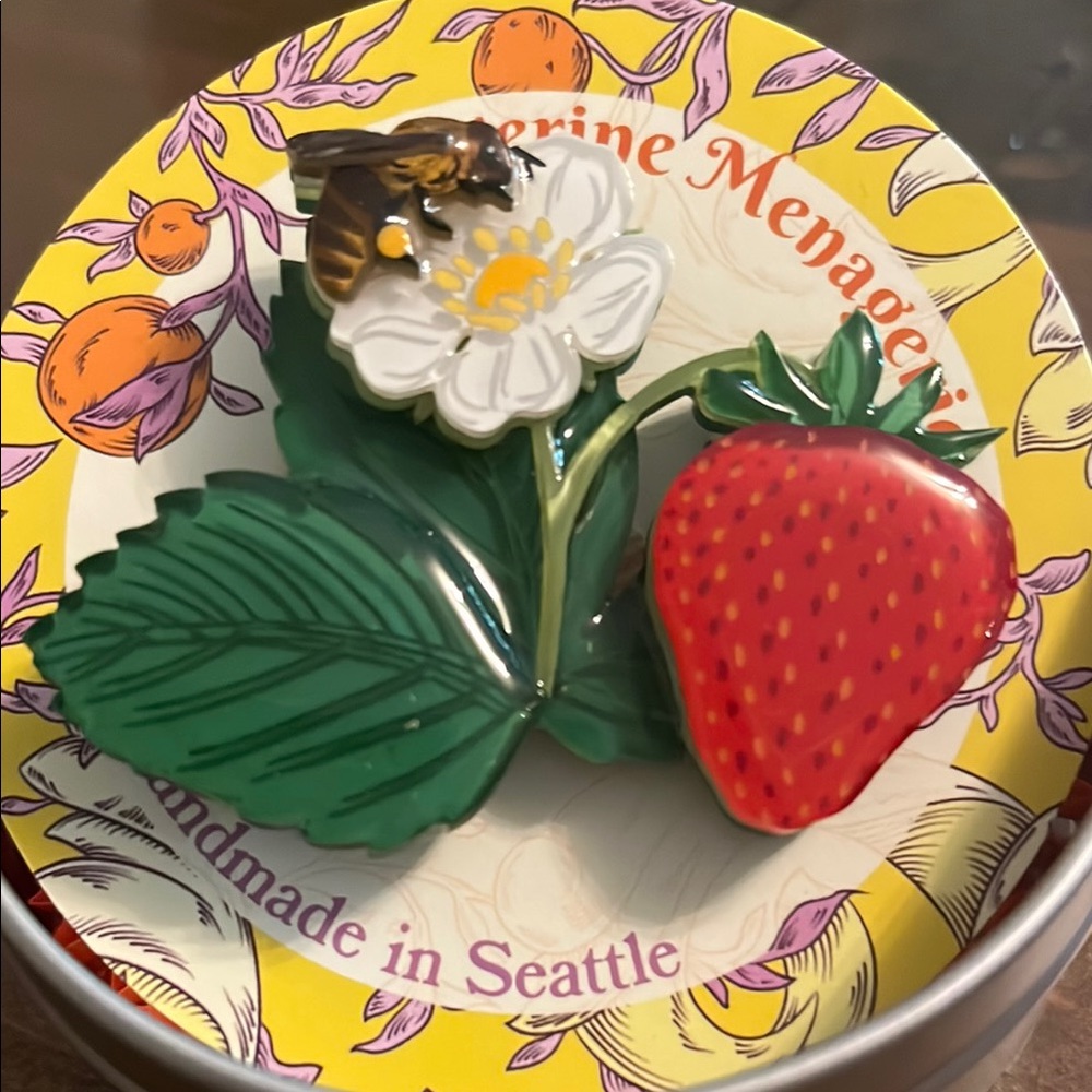 Tangerine Menagerie Strawberry  Brooch
